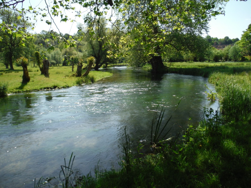Wiltshire Avon